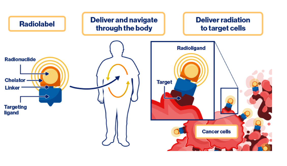 How Radiopharmaceuticals Work